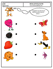 okul öncesi renk kavramı renkleri eşleştir çalışma sayfaları